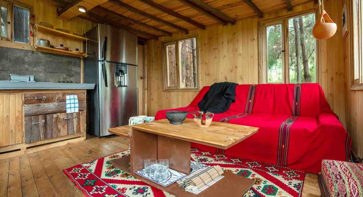 A wooden living area features a red sofa and a wooden coffee table placed on a patterned rug. Large windows allow natural light to illuminate the space, while a well-equipped kitchenette is visible in the background. Decorative elements maintain a cozy atmosphere.