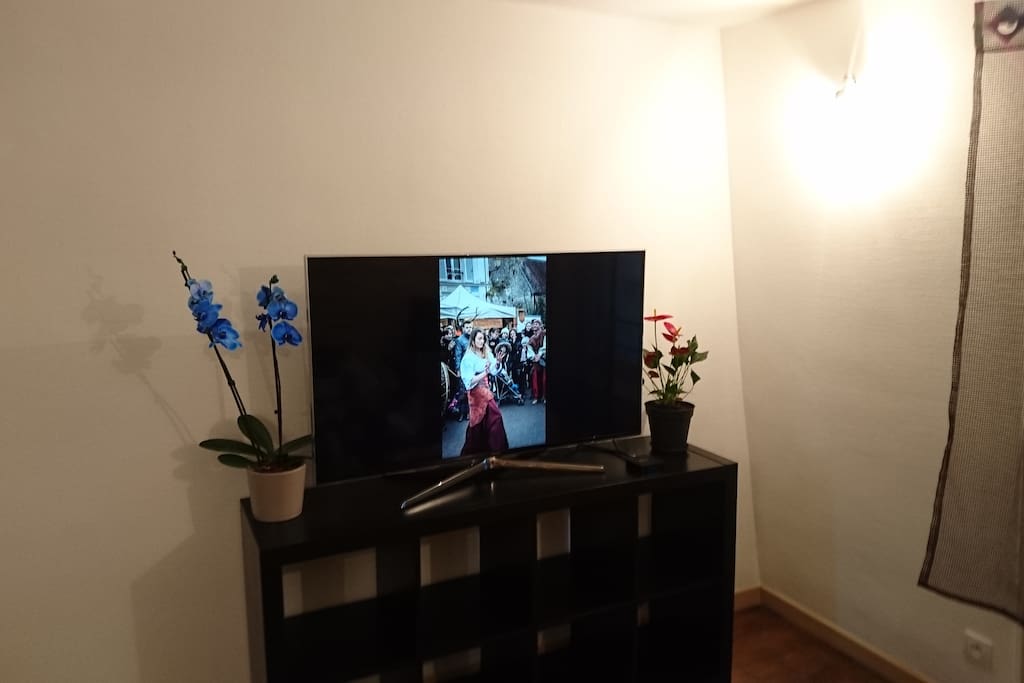 Salon/livingroom