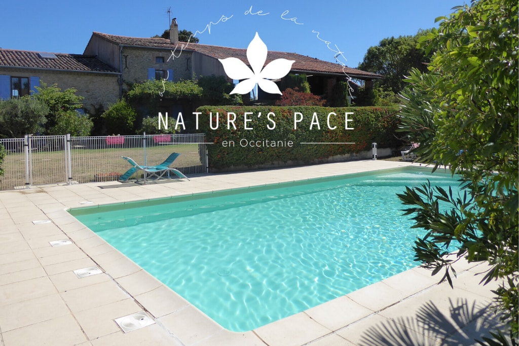 A heated shared swimming pool is framed by a paved patio and surrounded by lush greenery. Lounge chairs in soft blue are positioned nearby, inviting relaxation. The setting reflects a serene atmosphere, enhancing the picturesque appeal of the tranquil environment.