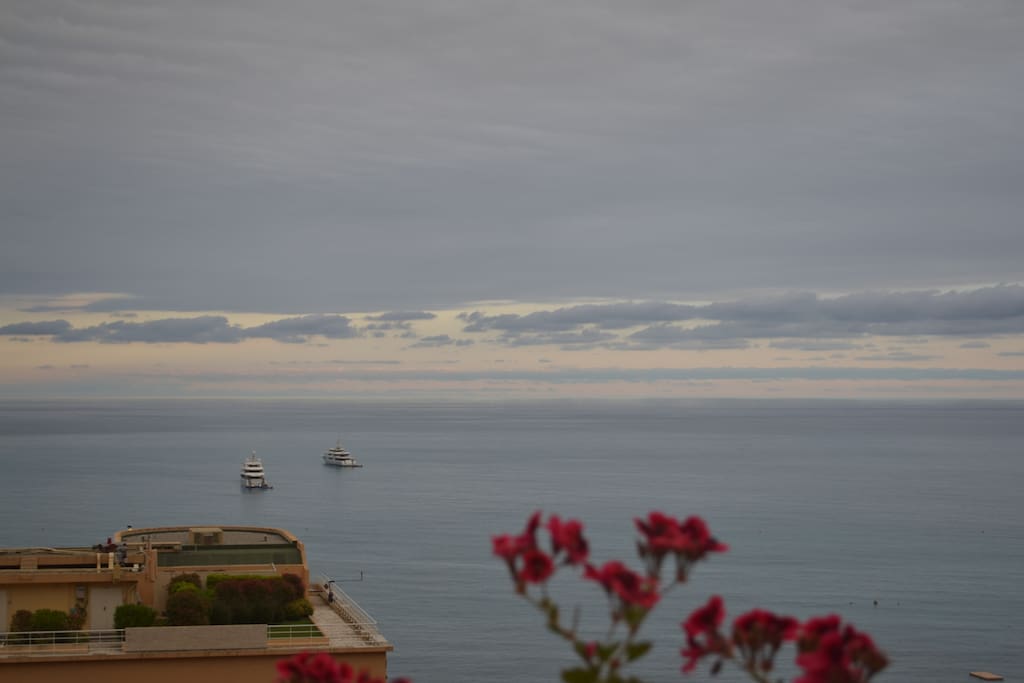 Take in the view