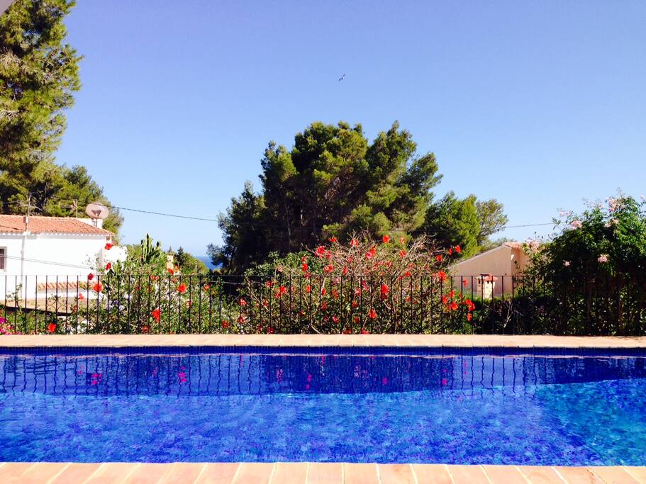 view from pool terrace