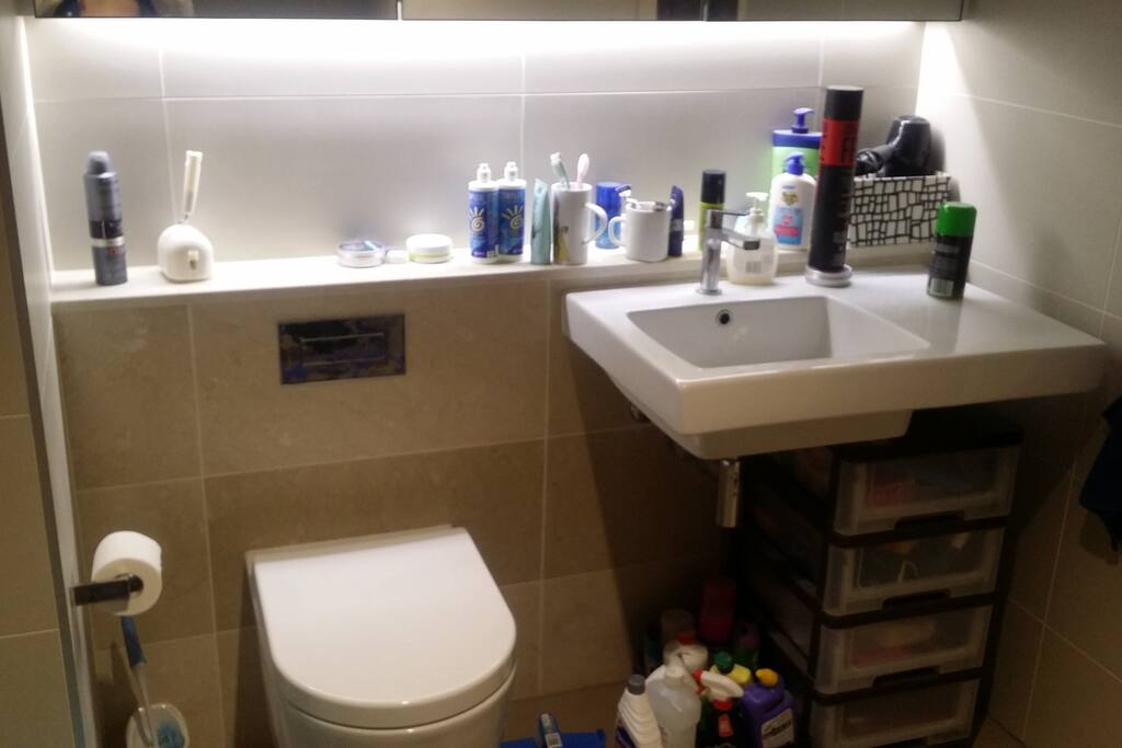 toilet