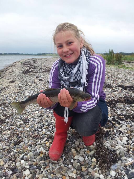 Sea trout for dinner...