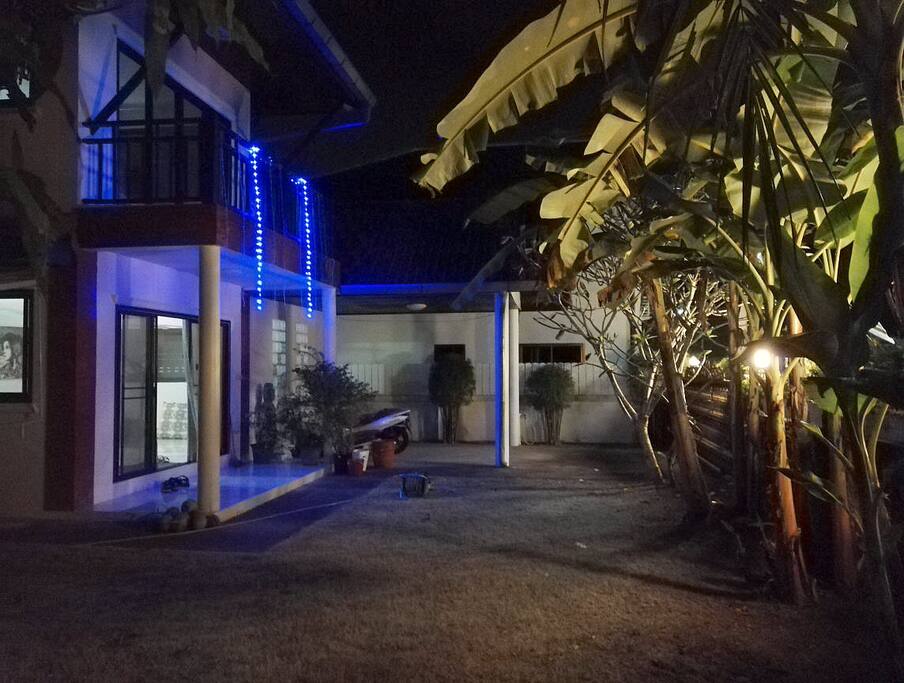 Entré by night