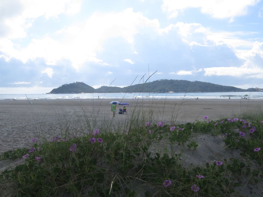 Ilha do Campeche