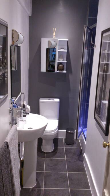 Shower room shared with twin room on same floor