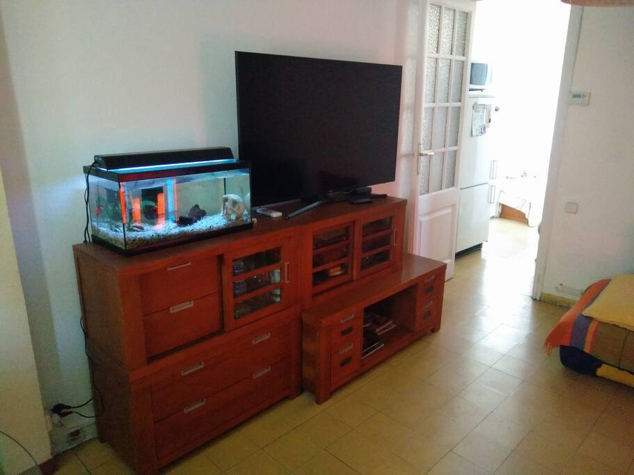 The living room