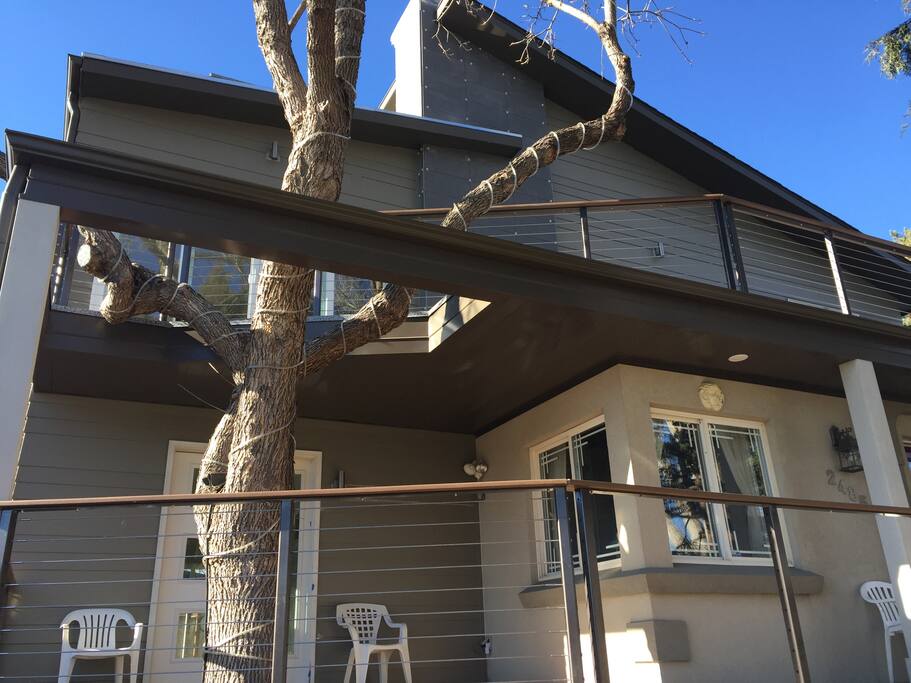 The TREE house