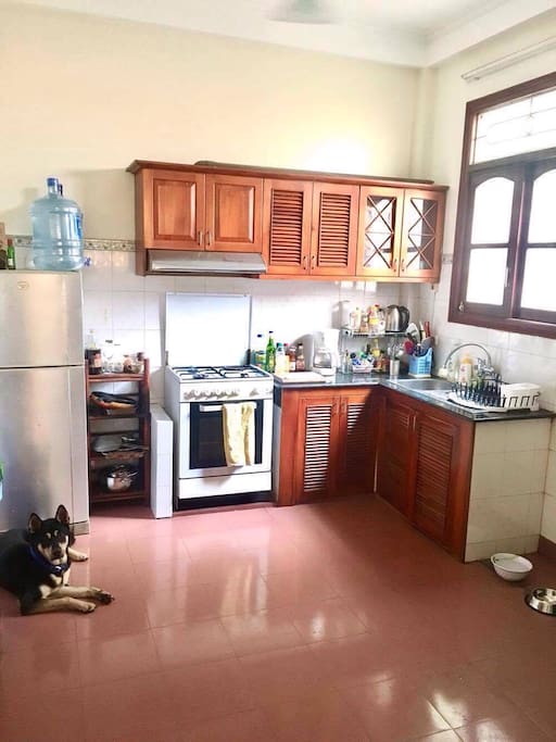 Fully-equipped kitchen with stove, oven, kettle, juicer, blender, toaster, slow cooker, rice maker, and western coffee machine