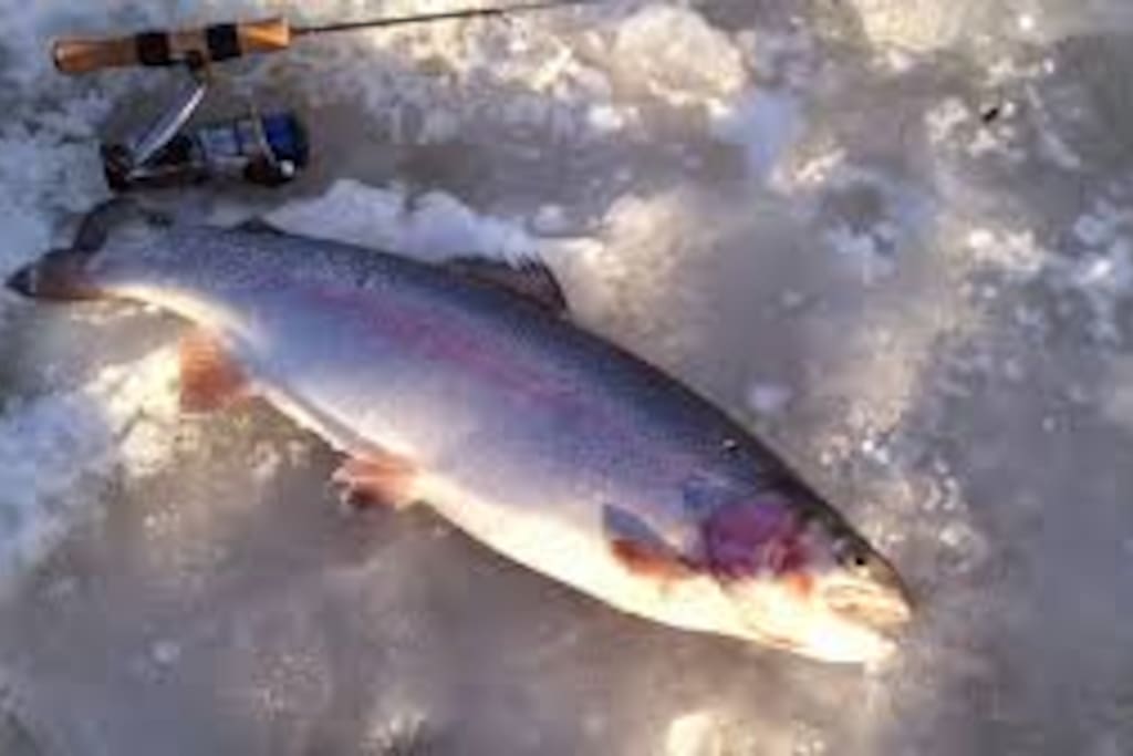 Ice fishing
