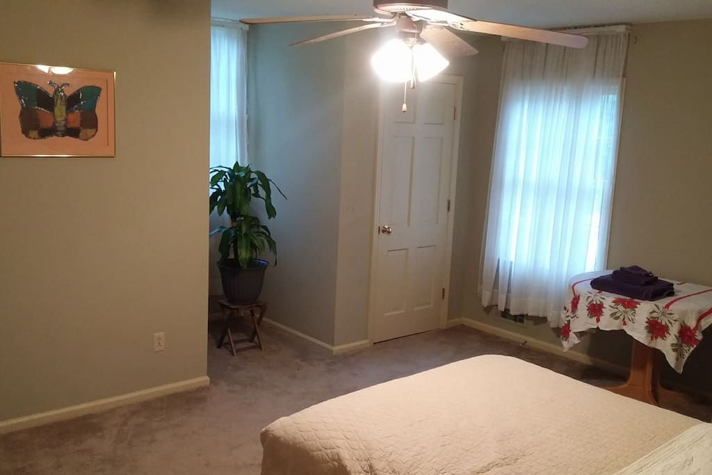 There is beautiful natural light in this space.