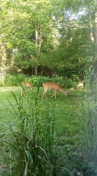 View from the main room window