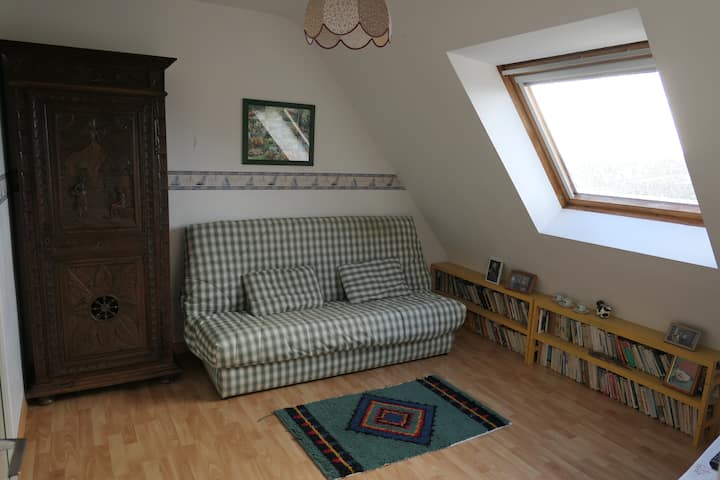 电视房、游戏，一楼（沙发床）