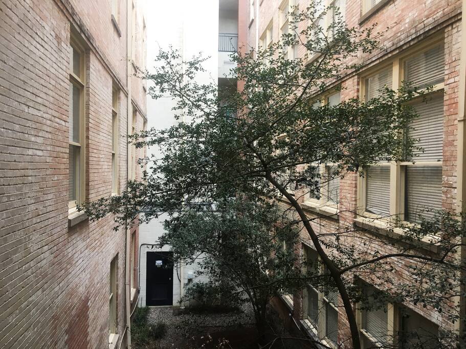 Outside Patio View