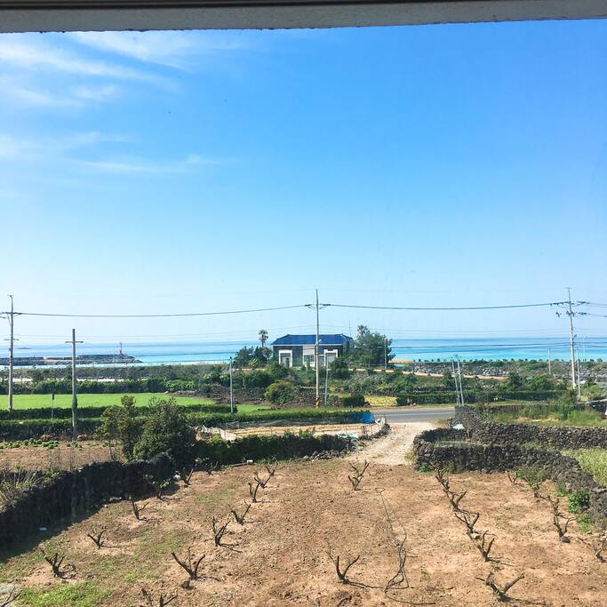 복층 침대 옆 창에서 보이는 뷰입니다
