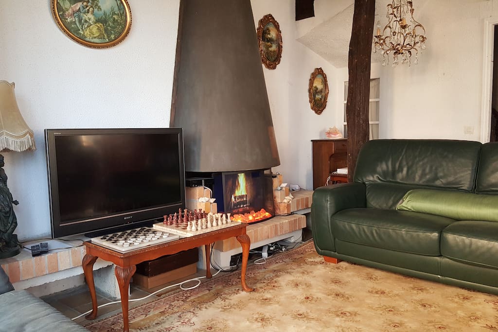Salon fireplace