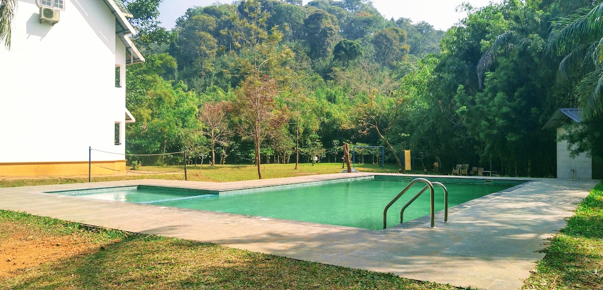A serene swimming pool is surrounded by lush greenery, with tall trees framing the scene. The pool features a light-colored stone deck and a gentle staircase leading into the water. Sun loungers are positioned nearby, inviting relaxation in a tranquil environment.