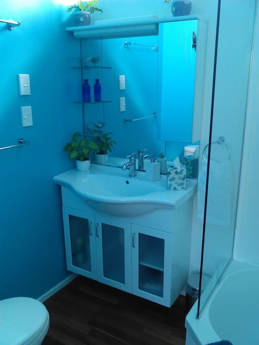 Guest bathroom