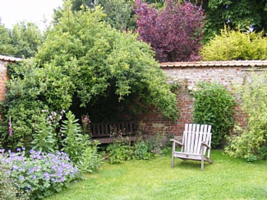 Walled courtyard garden laid to lawn and mature shrubs