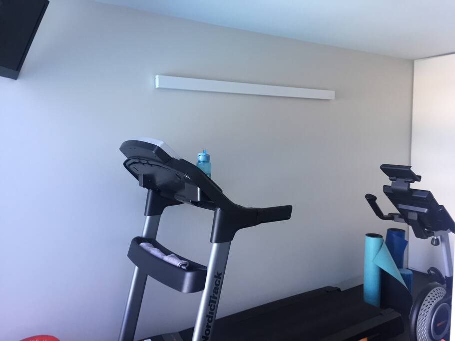 The gym