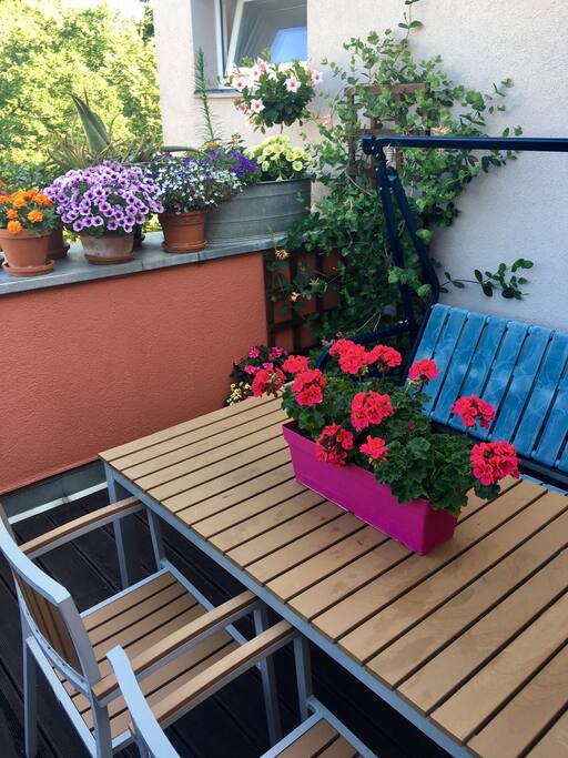 Terrace - Terrasse