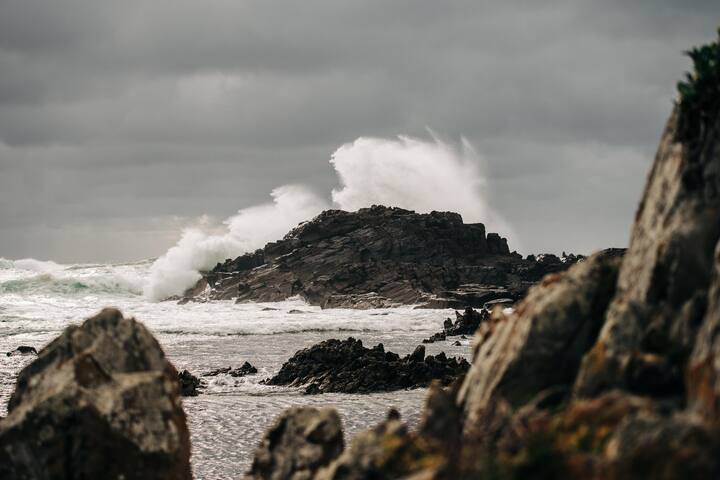 Caladenia – Absolute Ocean Views, Nature – Stylish gallery image 2