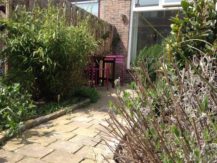 The backyard