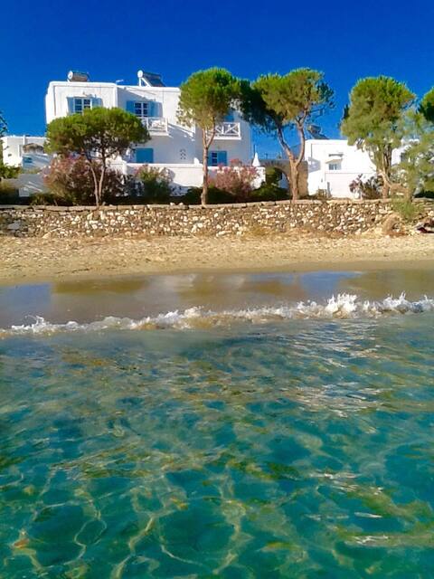 *BEACHFRONT* STUDIO for 2