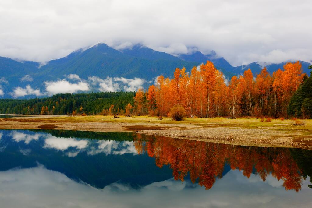 Cushman in Fall
