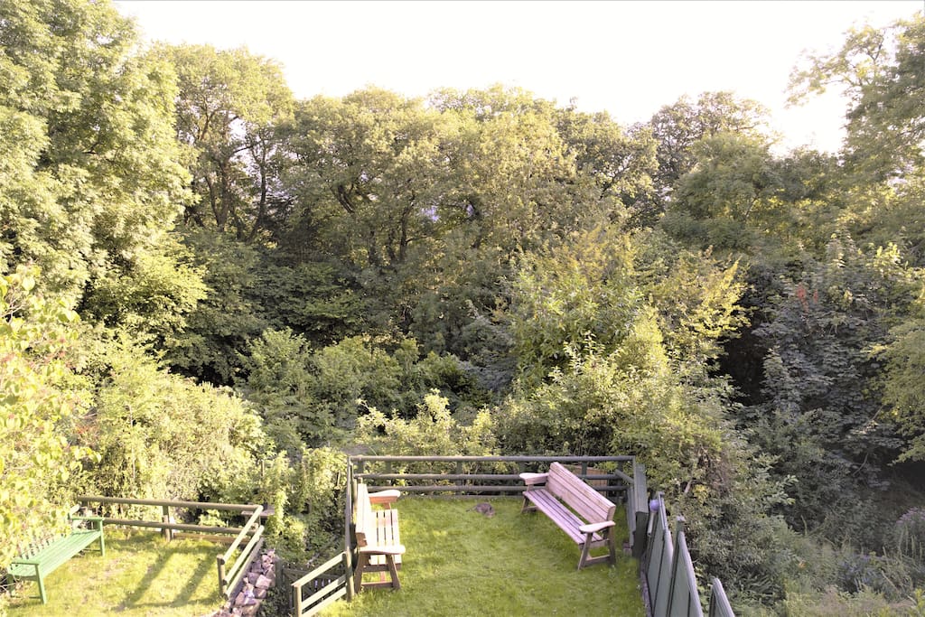 Views from the veranda out south over the garden and treetops.