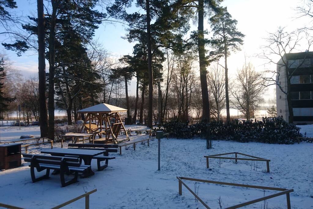 Park and view in front of the building on a winter morning