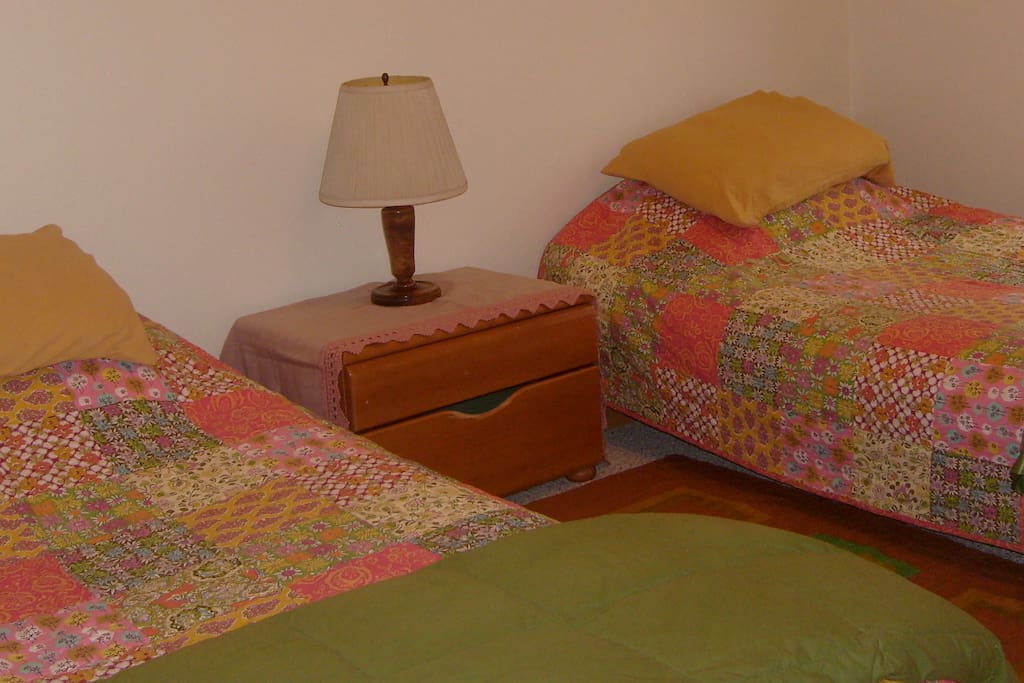 These Twins convert to a King Size Bed!