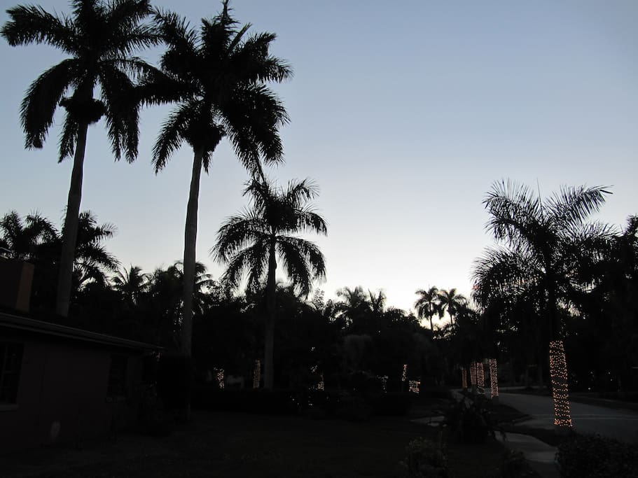 View at dusk