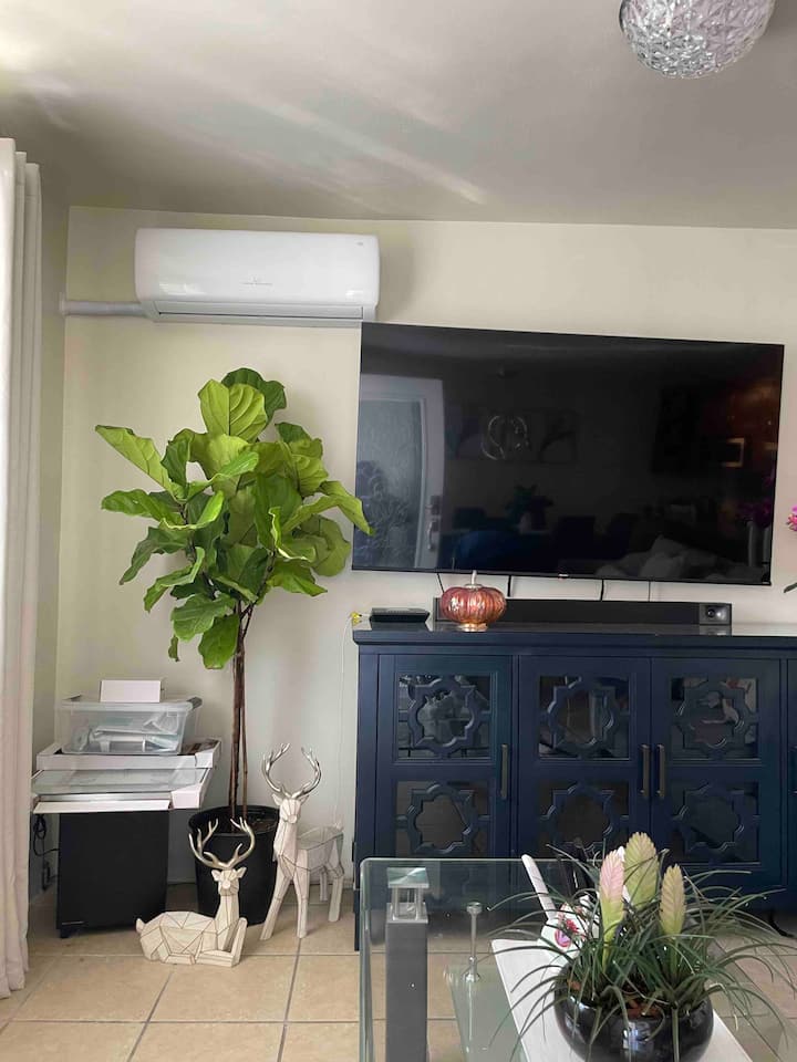 1 მინისპლიტი მისაღებ ოთახში 