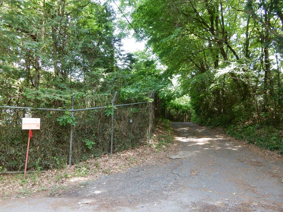 The drive way to your BnB house.