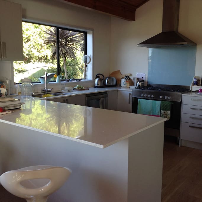 Kitchen with sparkling benchtop