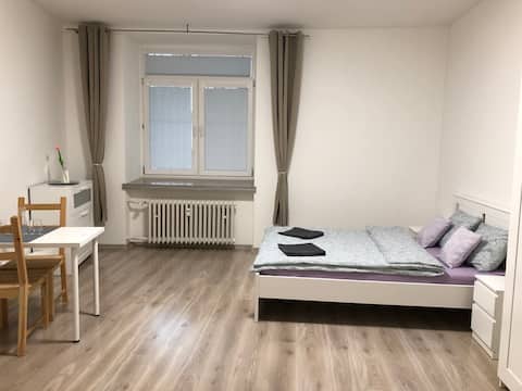 Spacey room with own bathroom in the Old Town