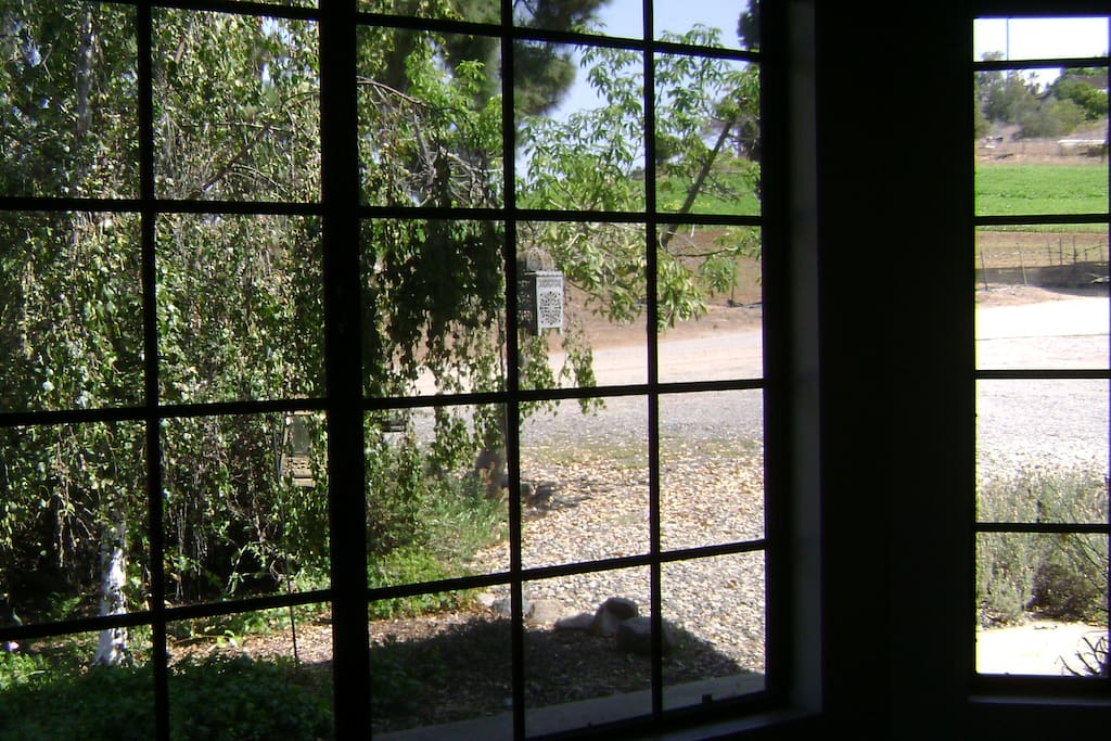 view from front room looking on to flower fields