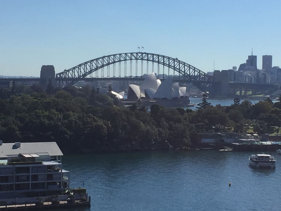 Amazing Sydney Harbour and city views from the large rooftop communal entertaining area!