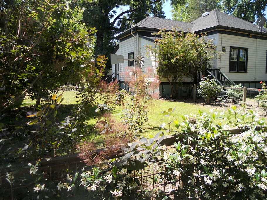 Rear of house & back lawn