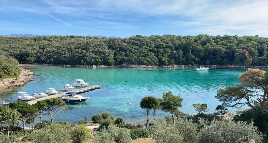 A serene coastal view displays a calm turquoise bay, bordered by lush greenery and trees. Several boats are docked at the marina, with gentle waves lapping against the shore. The backdrop features distant hills under a clear sky.