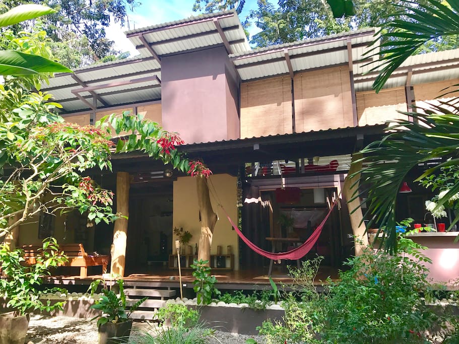 View of the back of he house from the garden