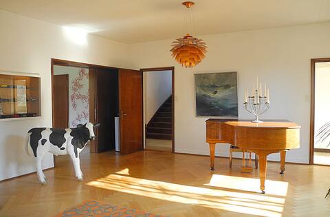 Fancy room in a cool house, breakfast & BaselCard