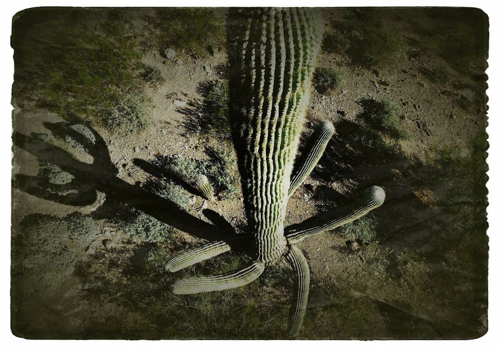 Welcome to Tucson!
