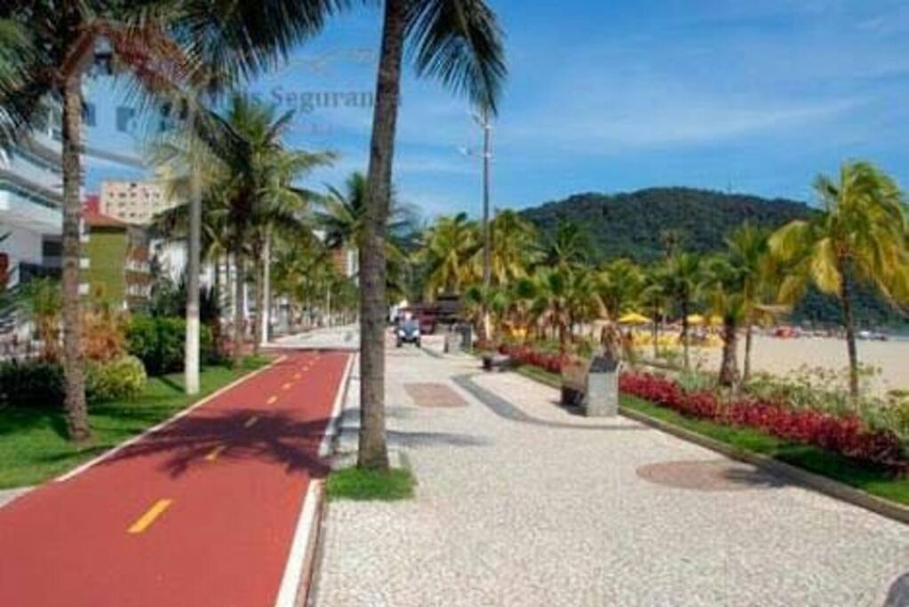 Ciclovia segura, paisagens belíssimas!
Diversão total!