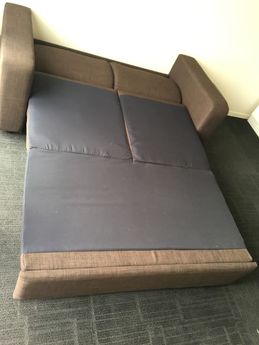 Sofa Bed with a firm mattress. Not a spring mattress so guests and sleep comfortably.