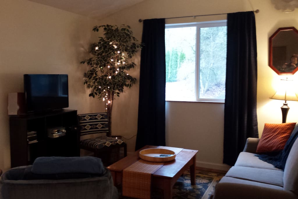 Living room with sofa sleeper and DirectTV and DVD player