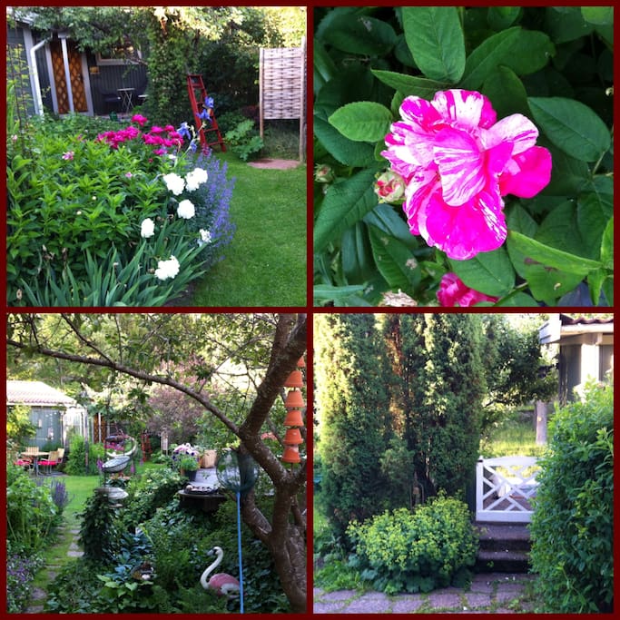 Cosy garden with privacy