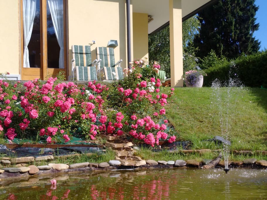 il laghetto e le rose nel giardino