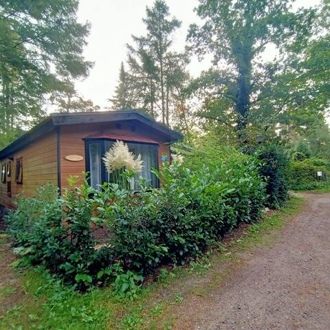 forest cottage de Bosrand  in the Veluwe.